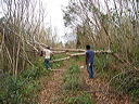 dsc00542